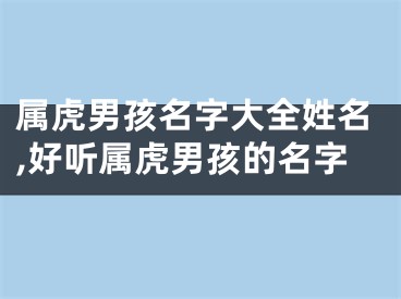 属虎男孩名字大全姓名,好听属虎男孩的名字