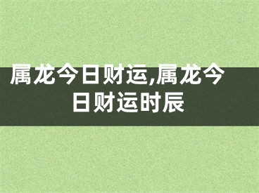 属龙今日财运,属龙今日财运时辰