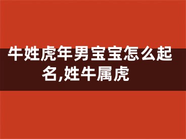牛姓虎年男宝宝怎么起名,姓牛属虎