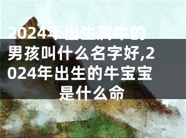 2024年出生属牛的男孩叫什么名字好,2024年出生的牛宝宝是什么命