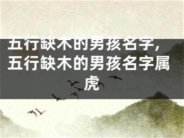 五行缺木的男孩名字,五行缺木的男孩名字属虎