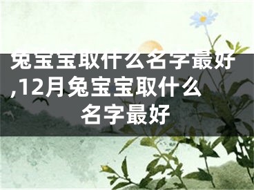 兔宝宝取什么名字最好,12月兔宝宝取什么名字最好