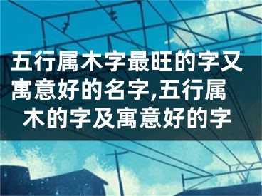 五行属木字最旺的字又寓意好的名字,五行属木的字及寓意好的字