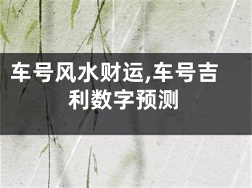 车号风水财运,车号吉利数字预测