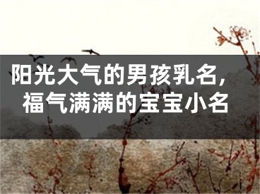 阳光大气的男孩乳名,福气满满的宝宝小名
