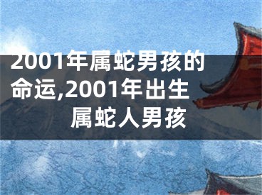 2001年属蛇男孩的命运,2001年出生属蛇人男孩