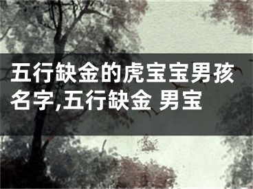 五行缺金的虎宝宝男孩名字,五行缺金 男宝