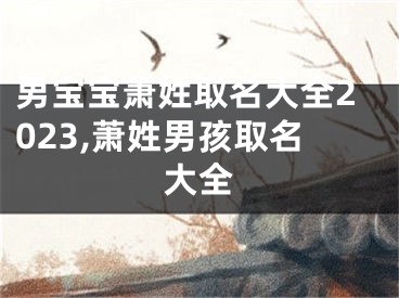 男宝宝萧姓取名大全2023,萧姓男孩取名大全