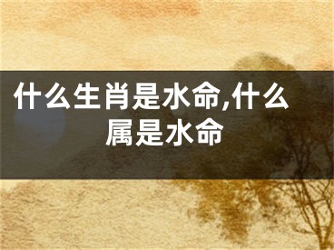 什么生肖是水命,什么属是水命