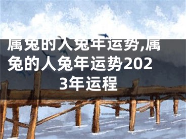 属兔的人兔年运势,属兔的人兔年运势2023年运程