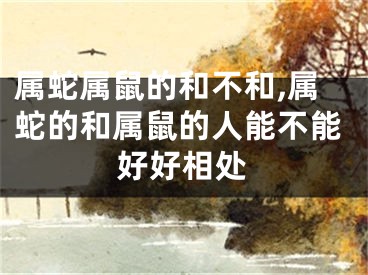 属蛇属鼠的和不和,属蛇的和属鼠的人能不能好好相处