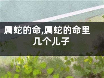 属蛇的命,属蛇的命里几个儿子