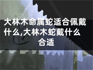 大林木命属蛇适合佩戴什么,大林木蛇戴什么合适
