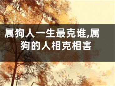 属狗人一生最克谁,属狗的人相克相害