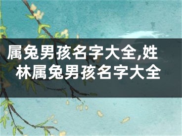 属兔男孩名字大全,姓林属兔男孩名字大全
