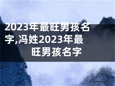 2023年最旺男孩名字,冯姓2023年最旺男孩名字