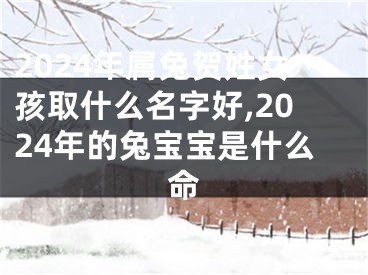 2024年属兔贺姓女孩取什么名字好,2024年的兔宝宝是什么命
