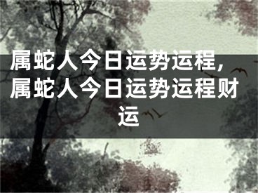 属蛇人今日运势运程,属蛇人今日运势运程财运