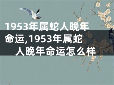 1953年属蛇人晚年命运,1953年属蛇人晚年命运怎么样