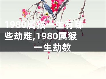 1980属猴一生有哪些劫难,1980属猴一生劫数