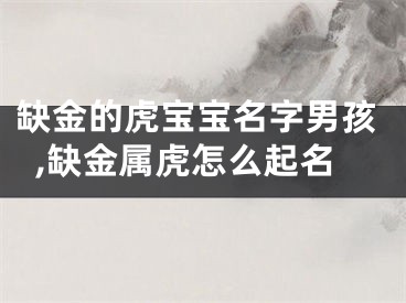 缺金的虎宝宝名字男孩,缺金属虎怎么起名