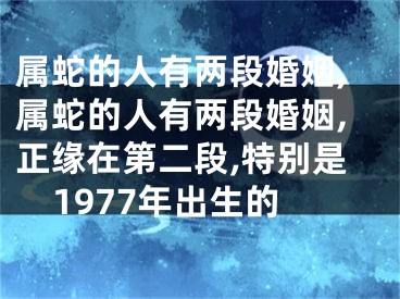 属蛇的人有两段婚姻,属蛇的人有两段婚姻,正缘在第二段,特别是1977年出生的