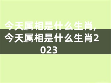 今天属相是什么生肖,今天属相是什么生肖2023