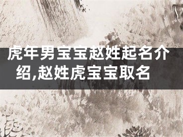 虎年男宝宝赵姓起名介绍,赵姓虎宝宝取名