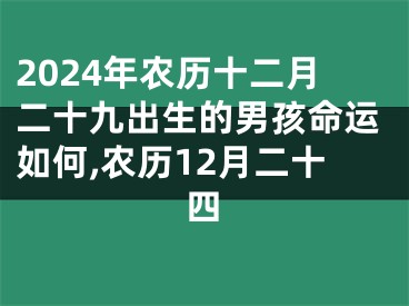 2024年农历十二月二十九出生的男孩命运如何,农历12月二十四
