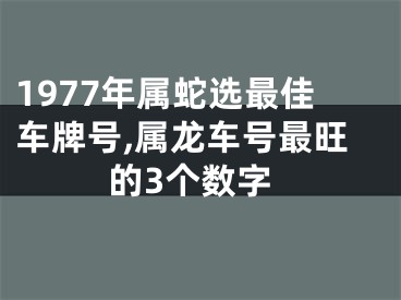 1977年属蛇选最佳车牌号,属龙车号最旺的3个数字
