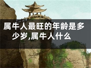 属牛人最旺的年龄是多少岁,属牛人什么