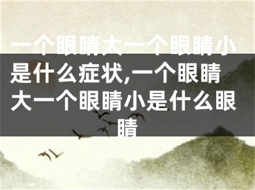 一个眼睛大一个眼睛小是什么症状,一个眼睛大一个眼睛小是什么眼睛