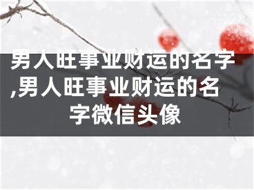 男人旺事业财运的名字,男人旺事业财运的名字微信头像