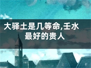 大驿土是几等命,壬水最好的贵人