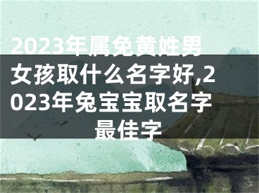 2023年属免黄姓男女孩取什么名字好,2023年兔宝宝取名字最佳字