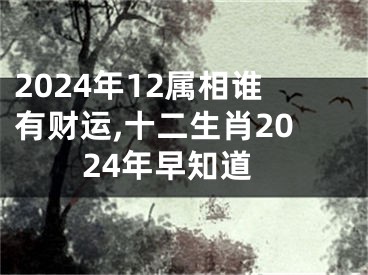 2024年12属相谁有财运,十二生肖2024年早知道