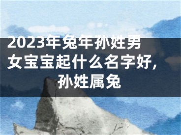 2023年兔年孙姓男女宝宝起什么名字好,孙姓属兔