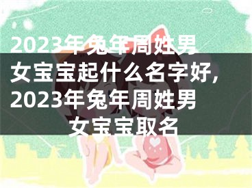 2023年兔年周姓男女宝宝起什么名字好,2023年兔年周姓男女宝宝取名