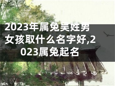 2023年属兔吴姓男女孩取什么名字好,2023属兔起名