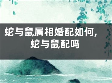 蛇与鼠属相婚配如何,蛇与鼠配吗