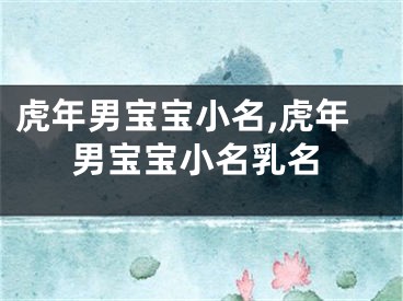 虎年男宝宝小名,虎年男宝宝小名乳名