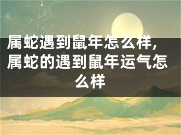 属蛇遇到鼠年怎么样,属蛇的遇到鼠年运气怎么样