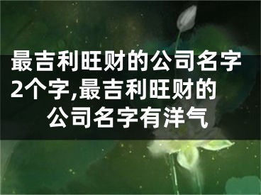 最吉利旺财的公司名字2个字,最吉利旺财的公司名字有洋气
