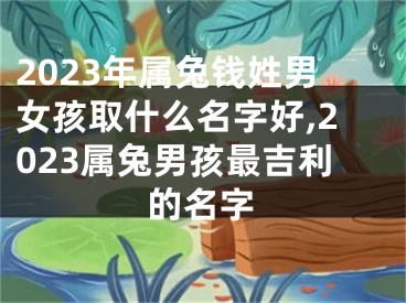 2023年属兔钱姓男女孩取什么名字好,2023属兔男孩最吉利的名字