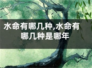 水命有哪几种,水命有哪几种是哪年