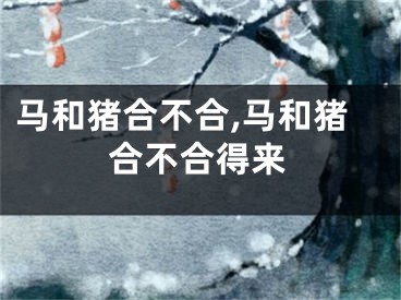 马和猪合不合,马和猪合不合得来