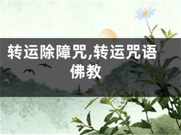 转运除障咒,转运咒语 佛教