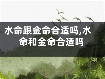 水命跟金命合适吗,水命和金命合适吗