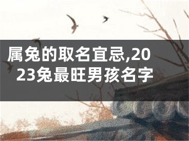 属兔的取名宜忌,2023兔最旺男孩名字