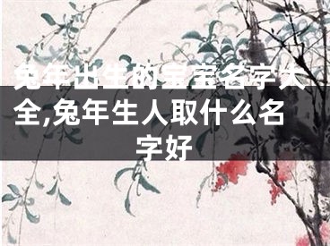 兔年出生的宝宝名字大全,兔年生人取什么名字好